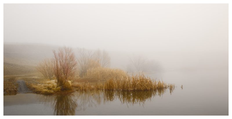 Mist on Pond No 1