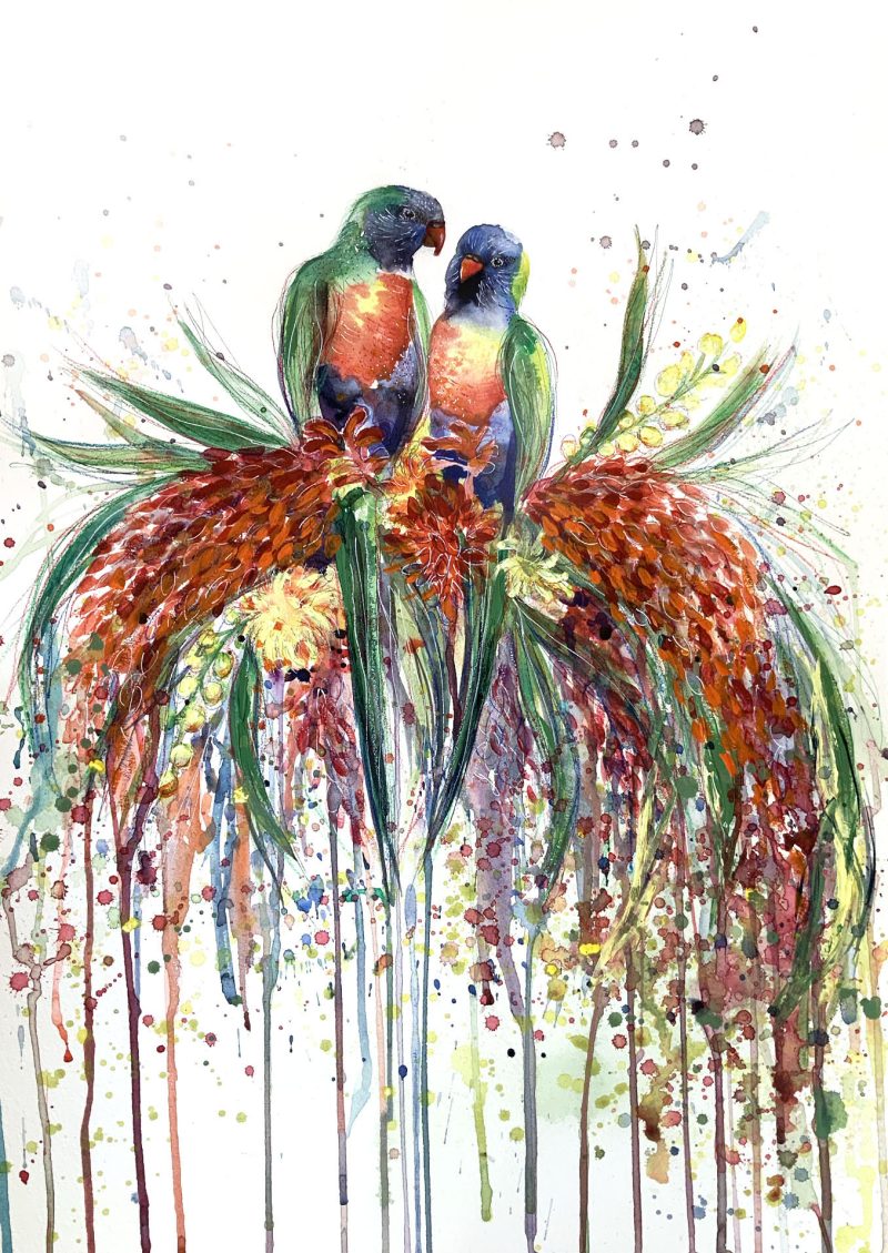 Rainbow Lorikeet Love