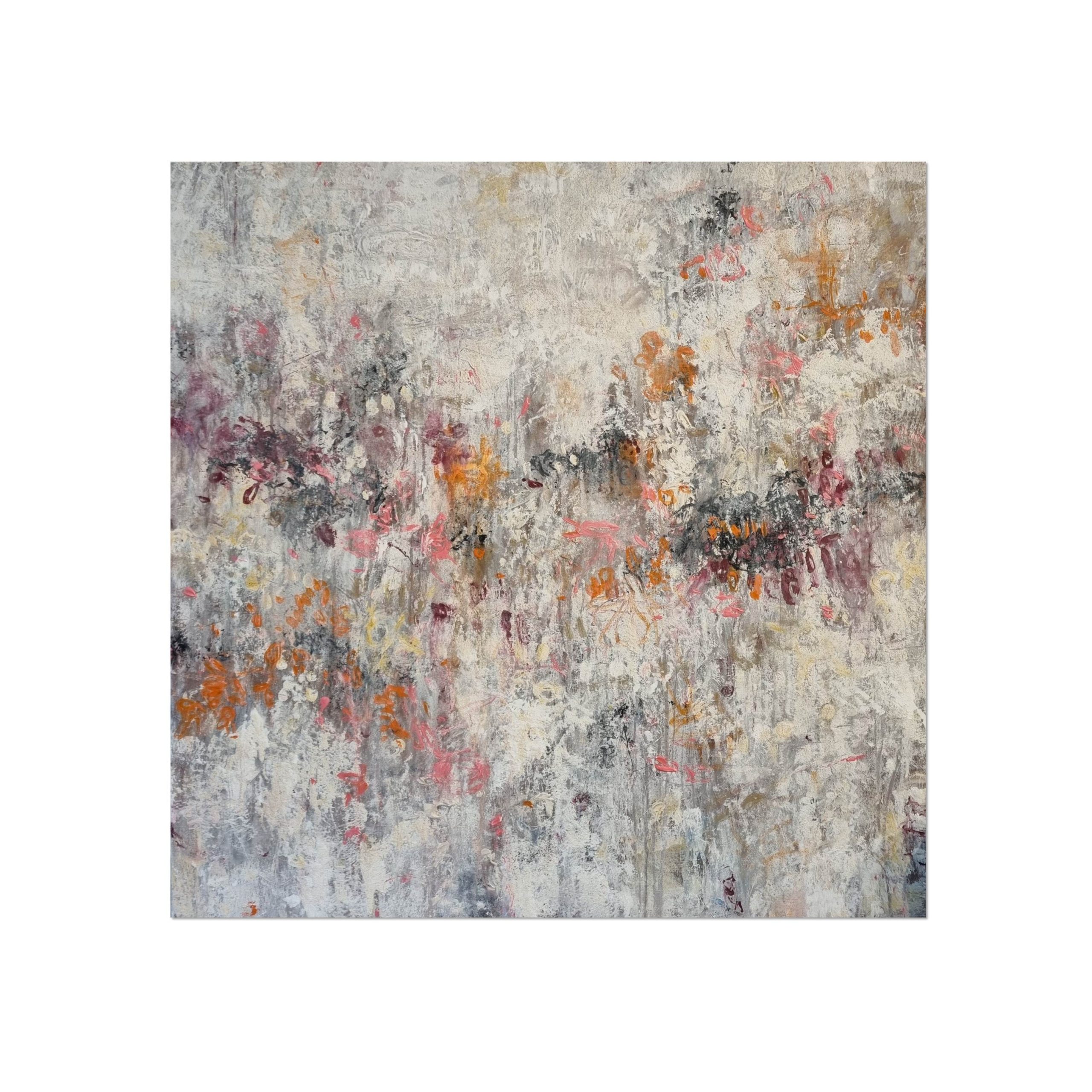 Calista White Border