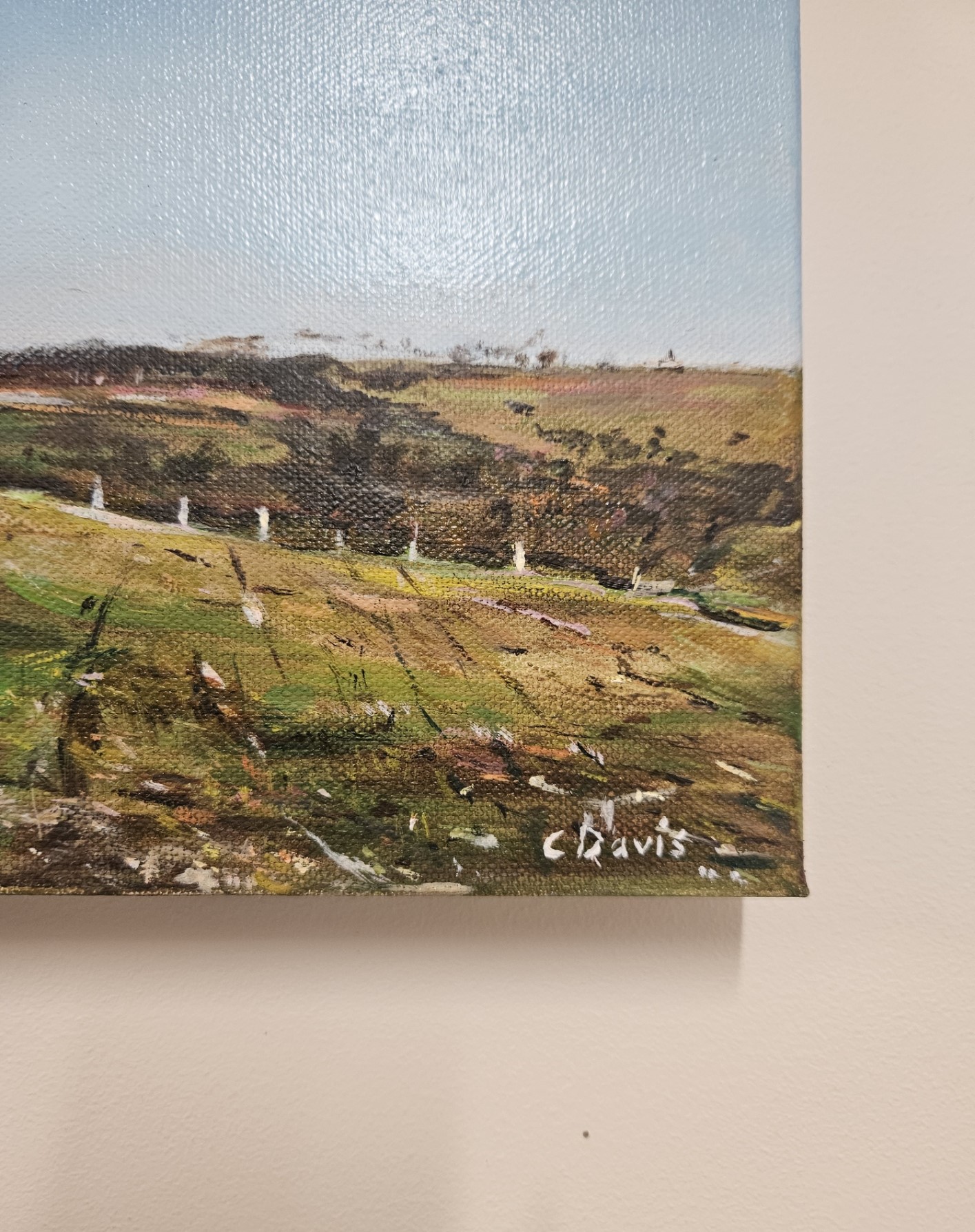 Solitary Tree Signature