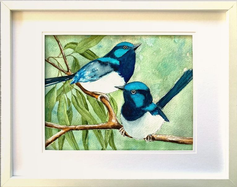 Blue Fairy Wren