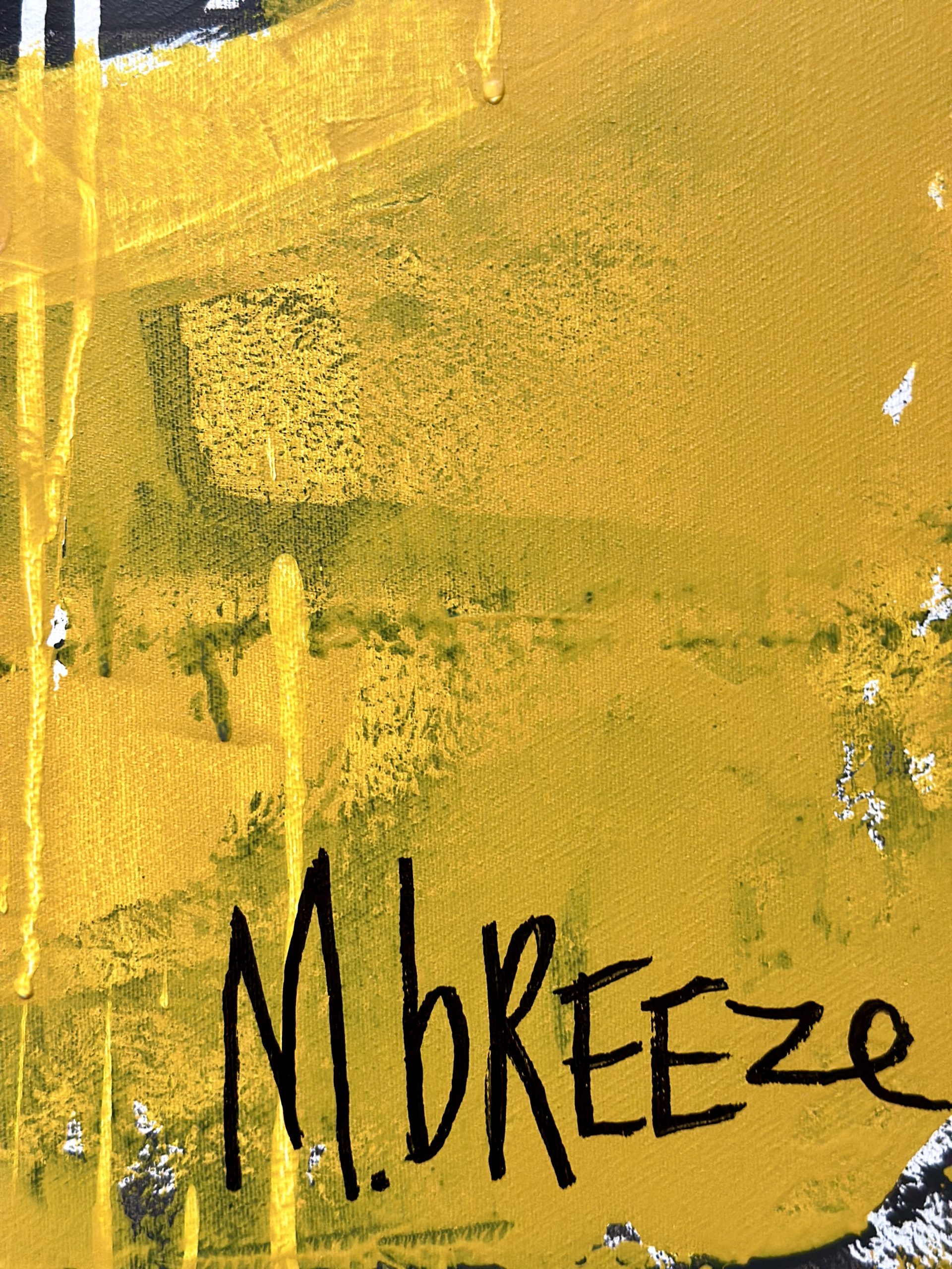 Martin Breeze Icecream At The Beach Signed