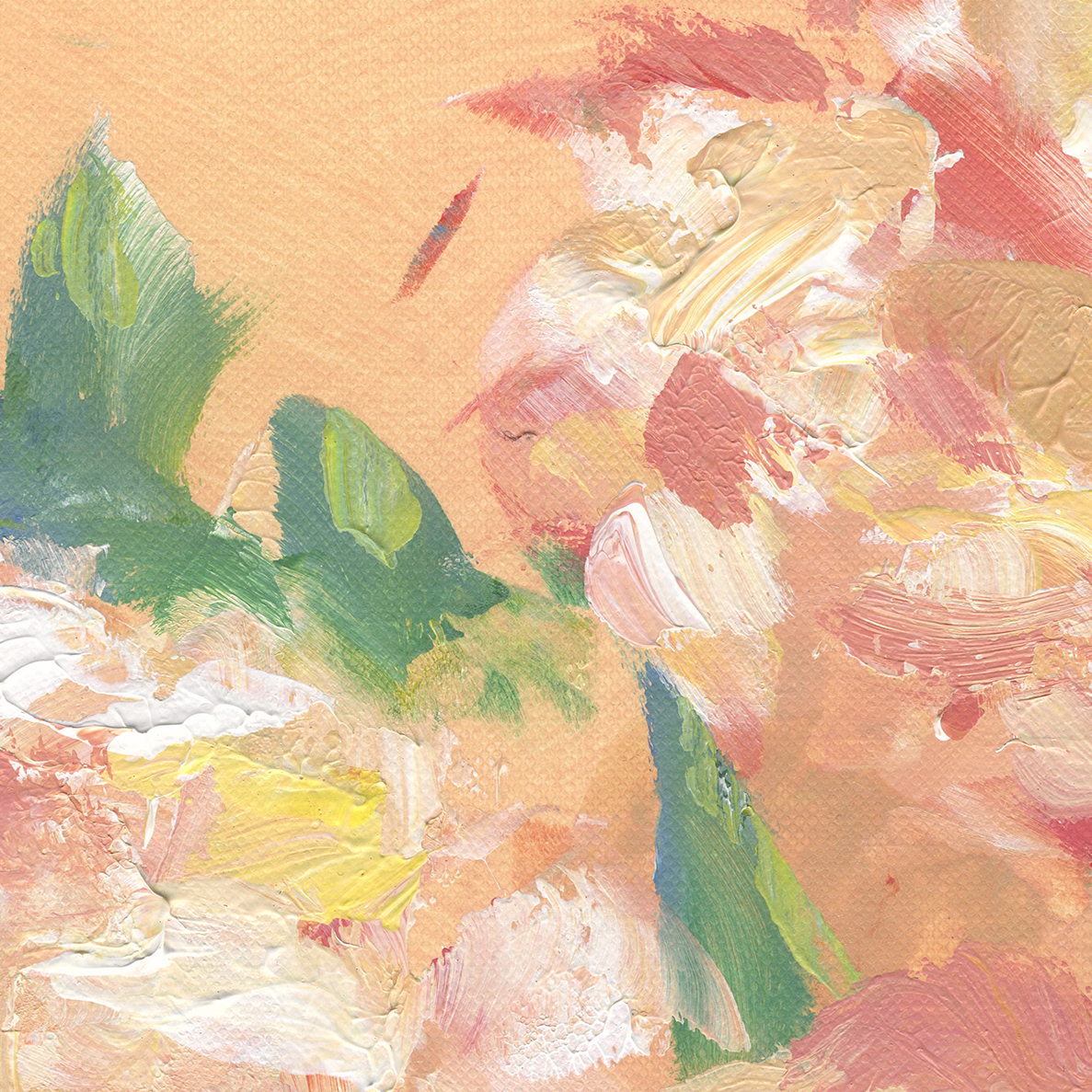 Linda Gregor Light On The Blush Petals Closeup