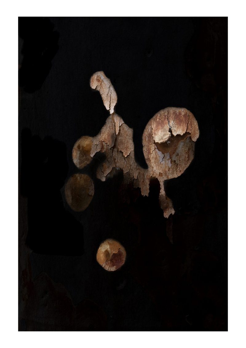 Messages 4 – Framed