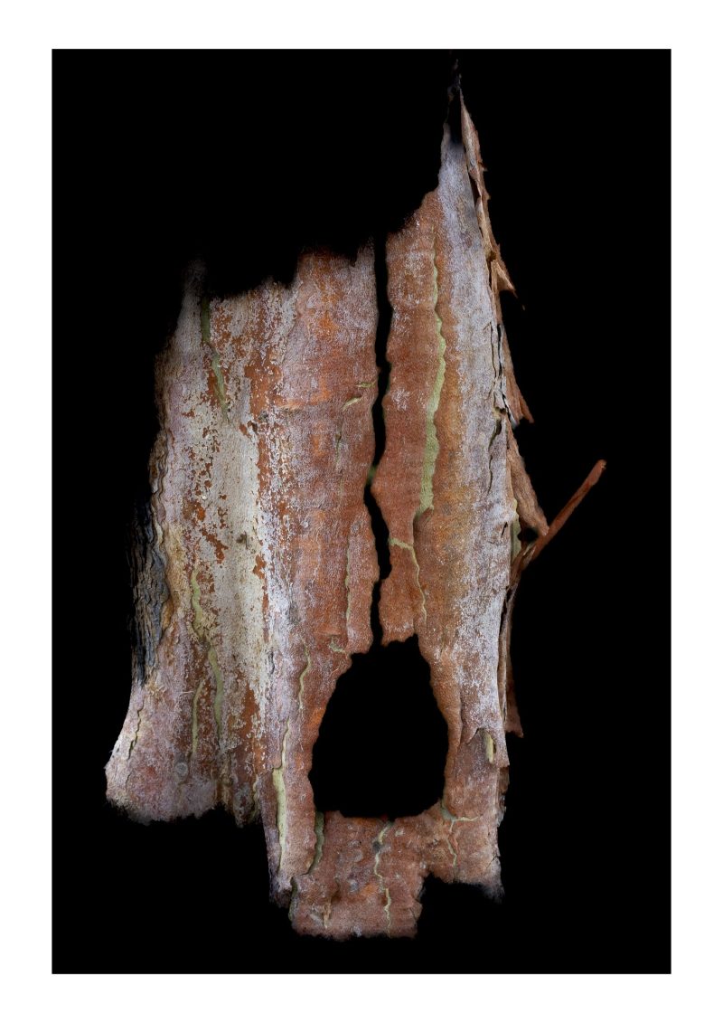 Messages 5 – Framed