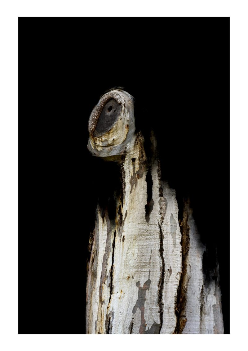 Messages 6 – Framed