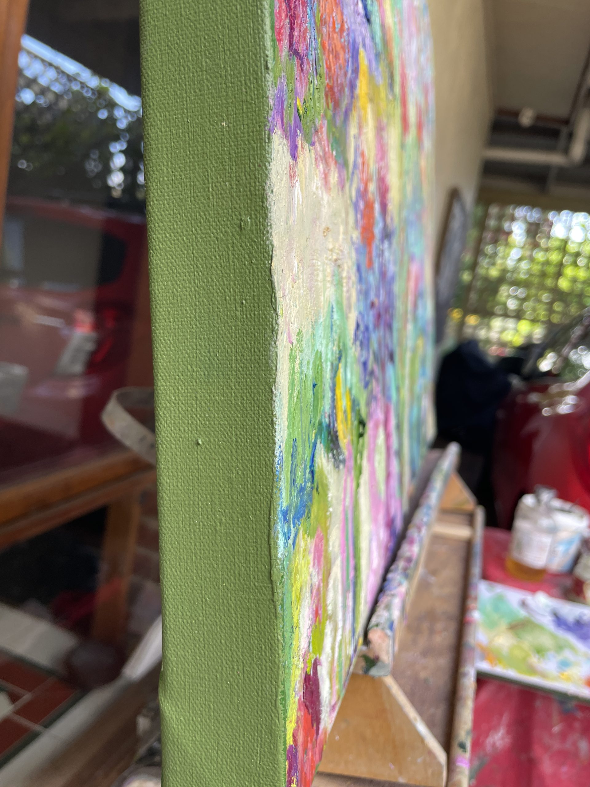 Garden With Orange Poppy Side View