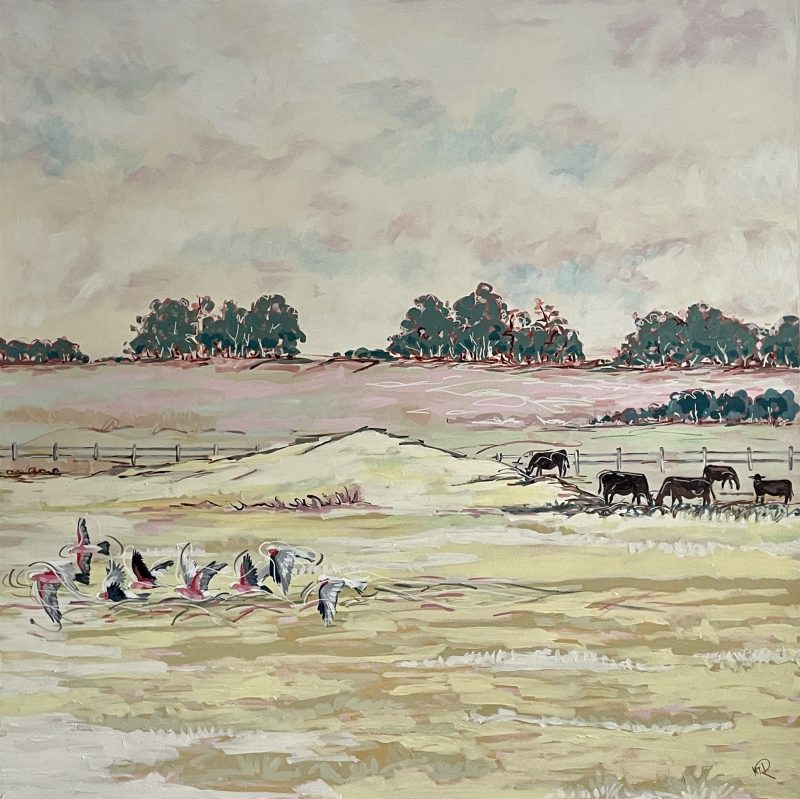 On our way to Cooktown