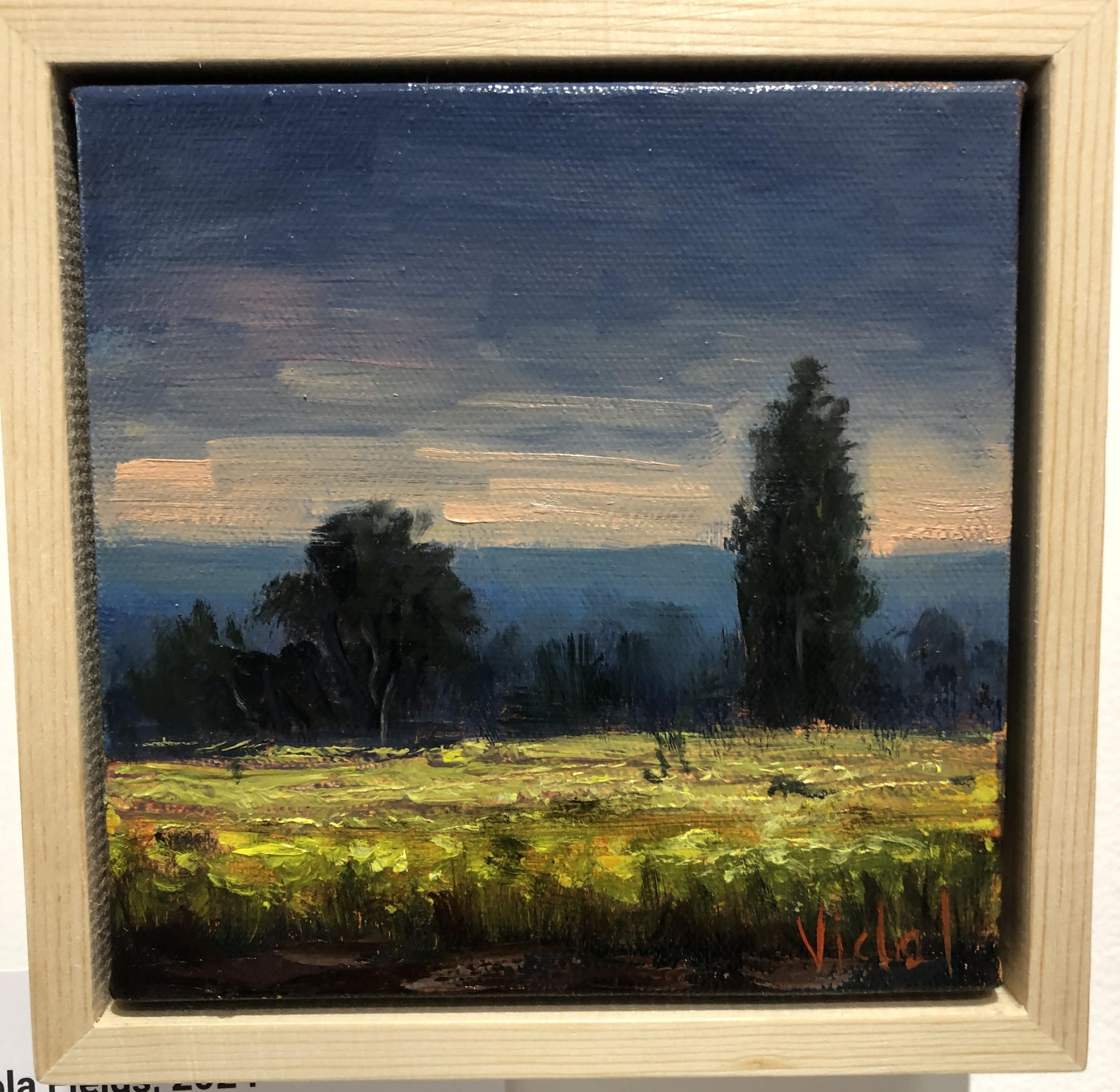 Canola Fields Framed