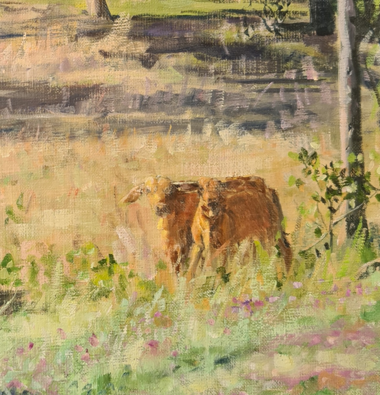 Brangus Calves Close Up 1 Jo S.stacey