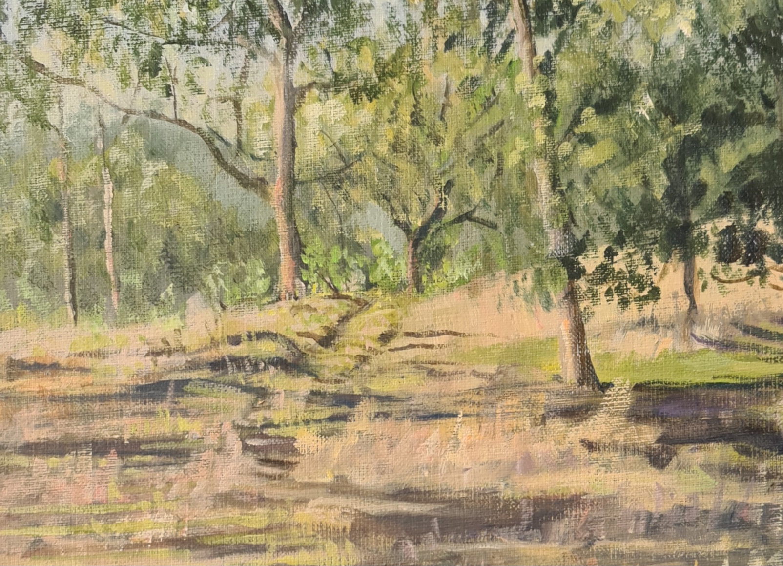 Brangus Calves Close Up 3 Jo S.stacey