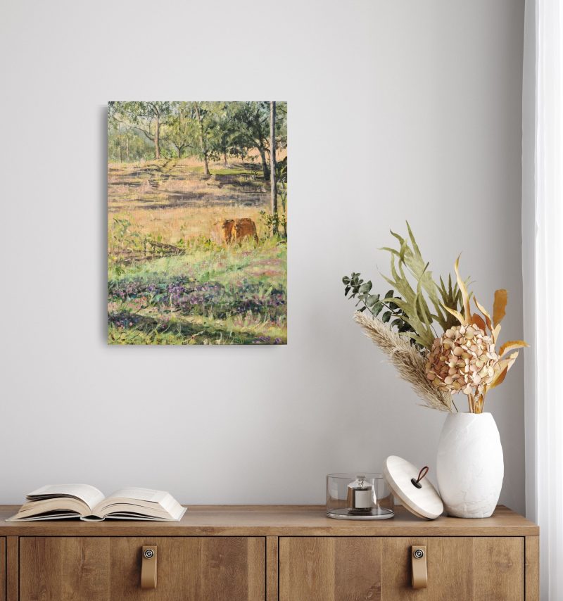 Brangus Calves Outside Of Monto