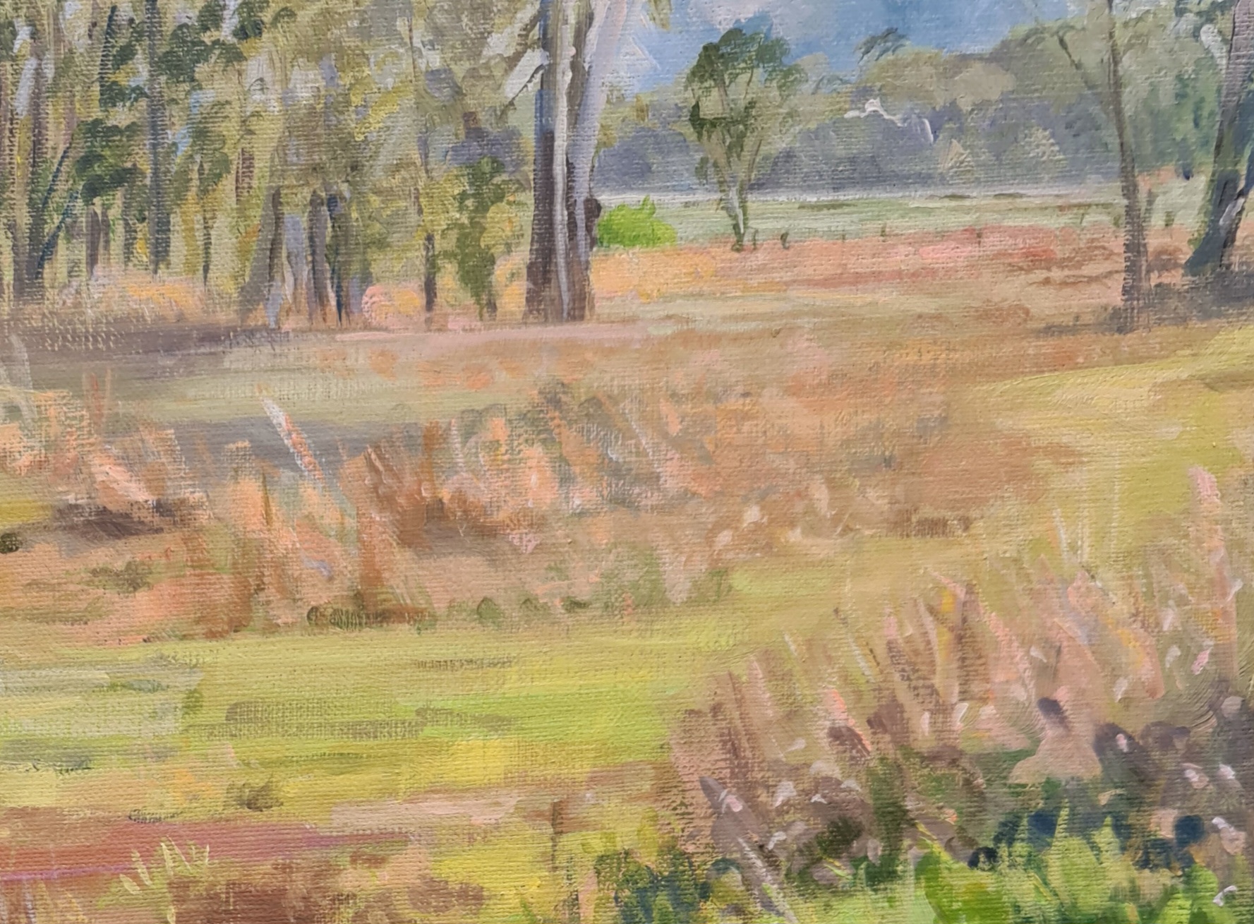 Geese At Monto Jo S. Stacey Fine Art Details 3