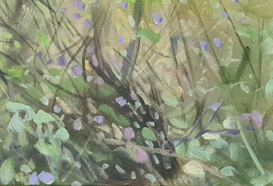 Brahmans In The Deepwater Mist Close Up 3