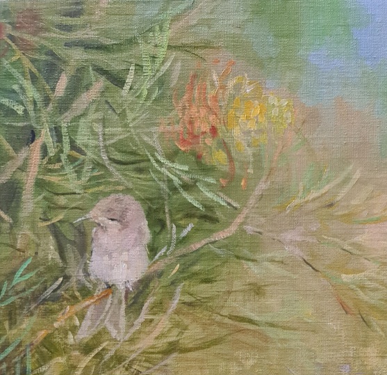 Echidna And Honey Eater Close Up 1