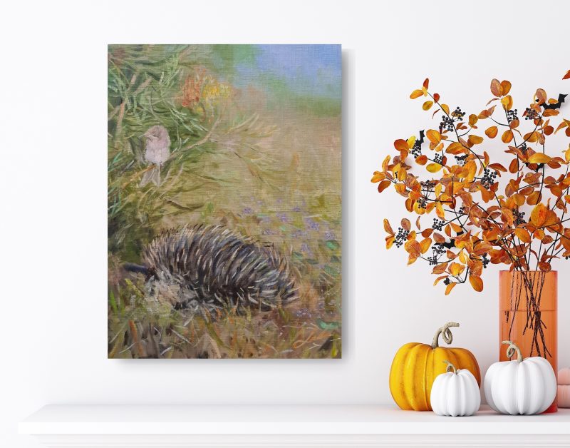 Echidna And Honey Eater At Tambar Springs