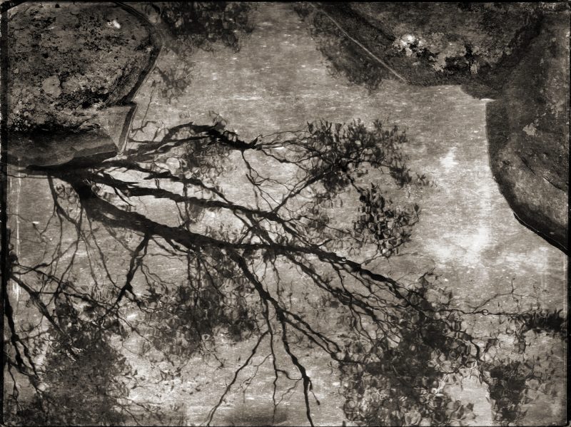 Shadows in the Rain – Ltd Ed Photography