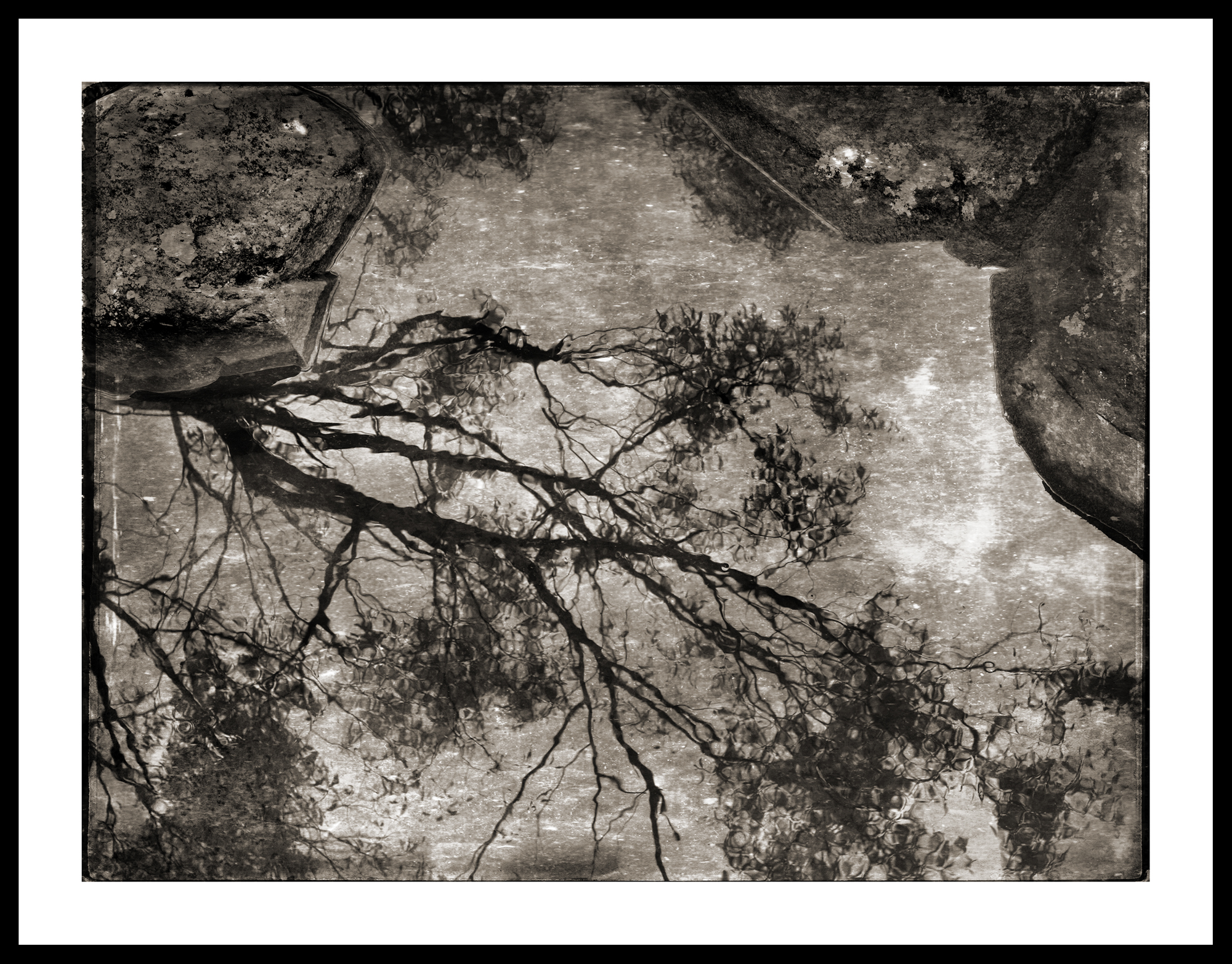 Shadows In The Rain Framed