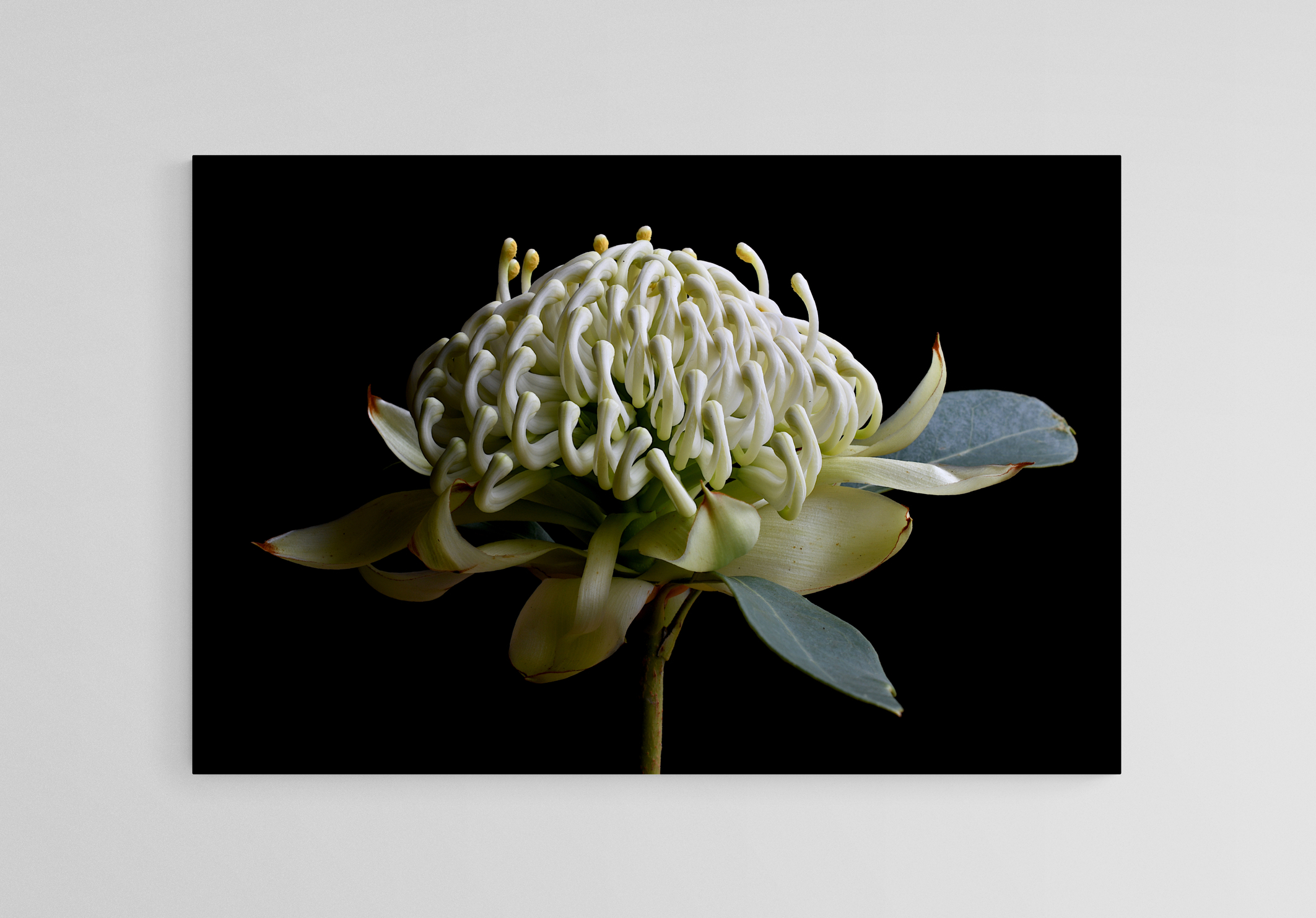 Empty Room 2024 10 12t125835.742