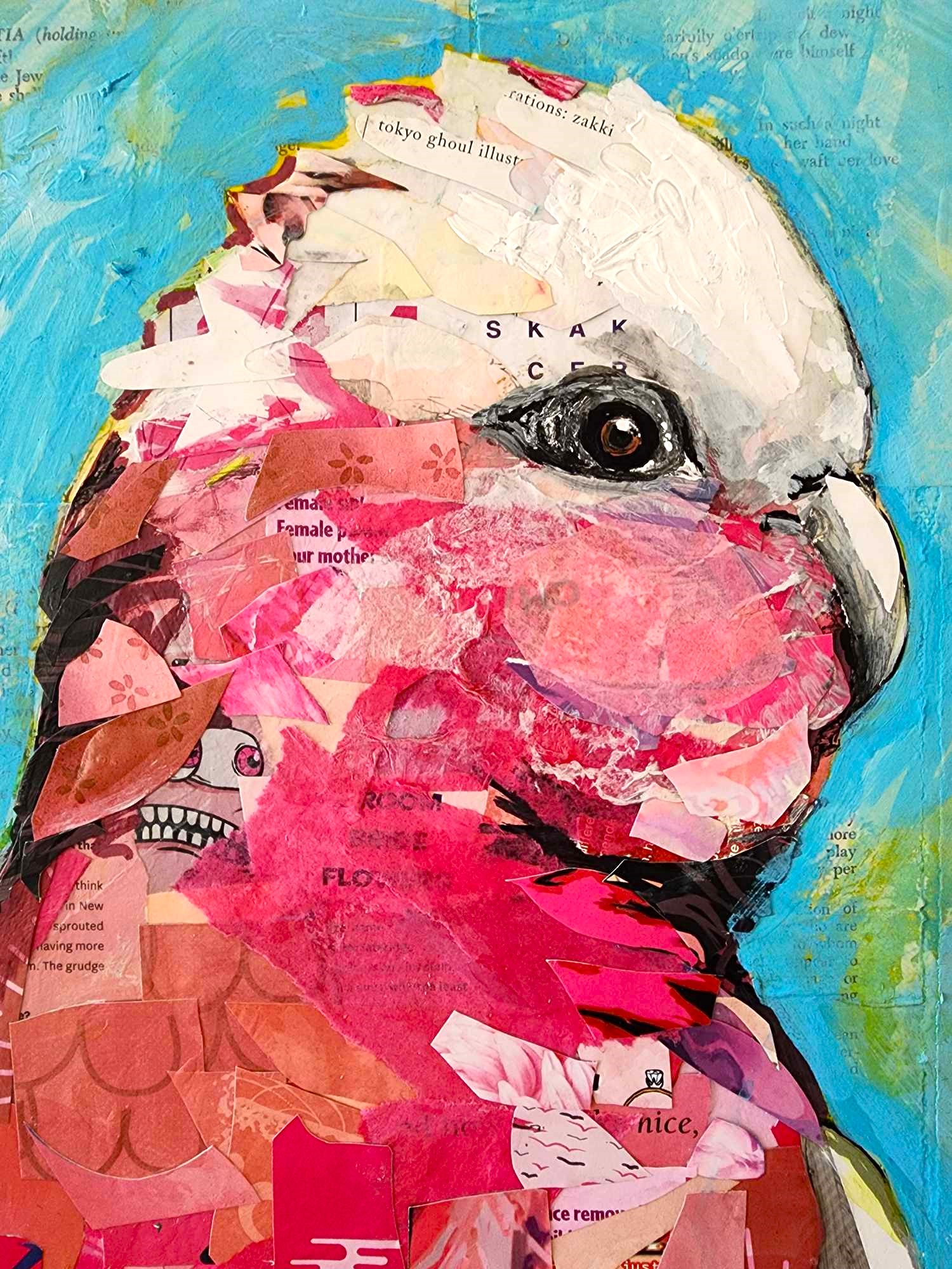 462538032 878769297563394 5457208414549229561 N