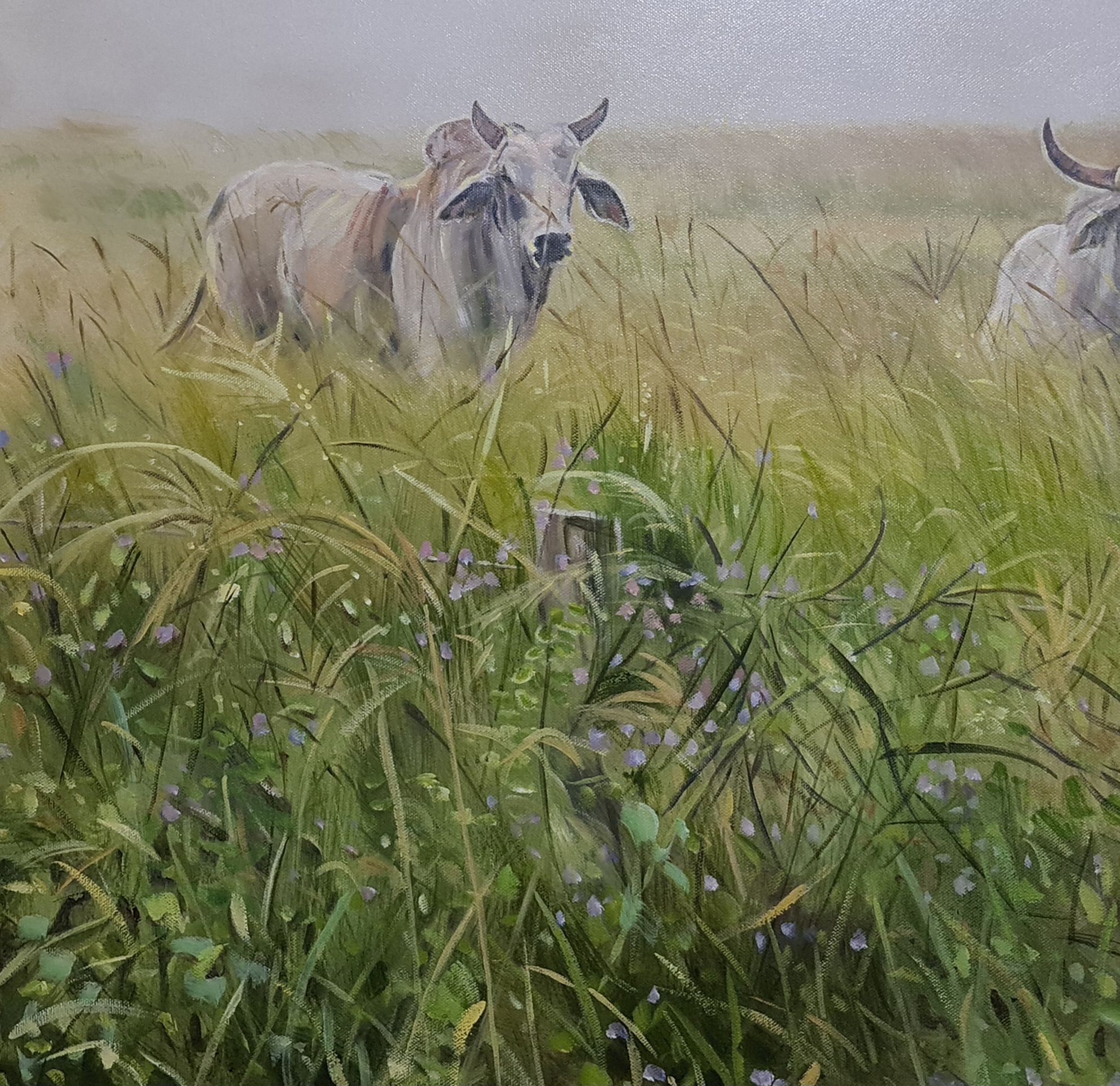 Brahmans In The Deepwater Mist Jo S Stacey Fine Art Oils Close Up Left