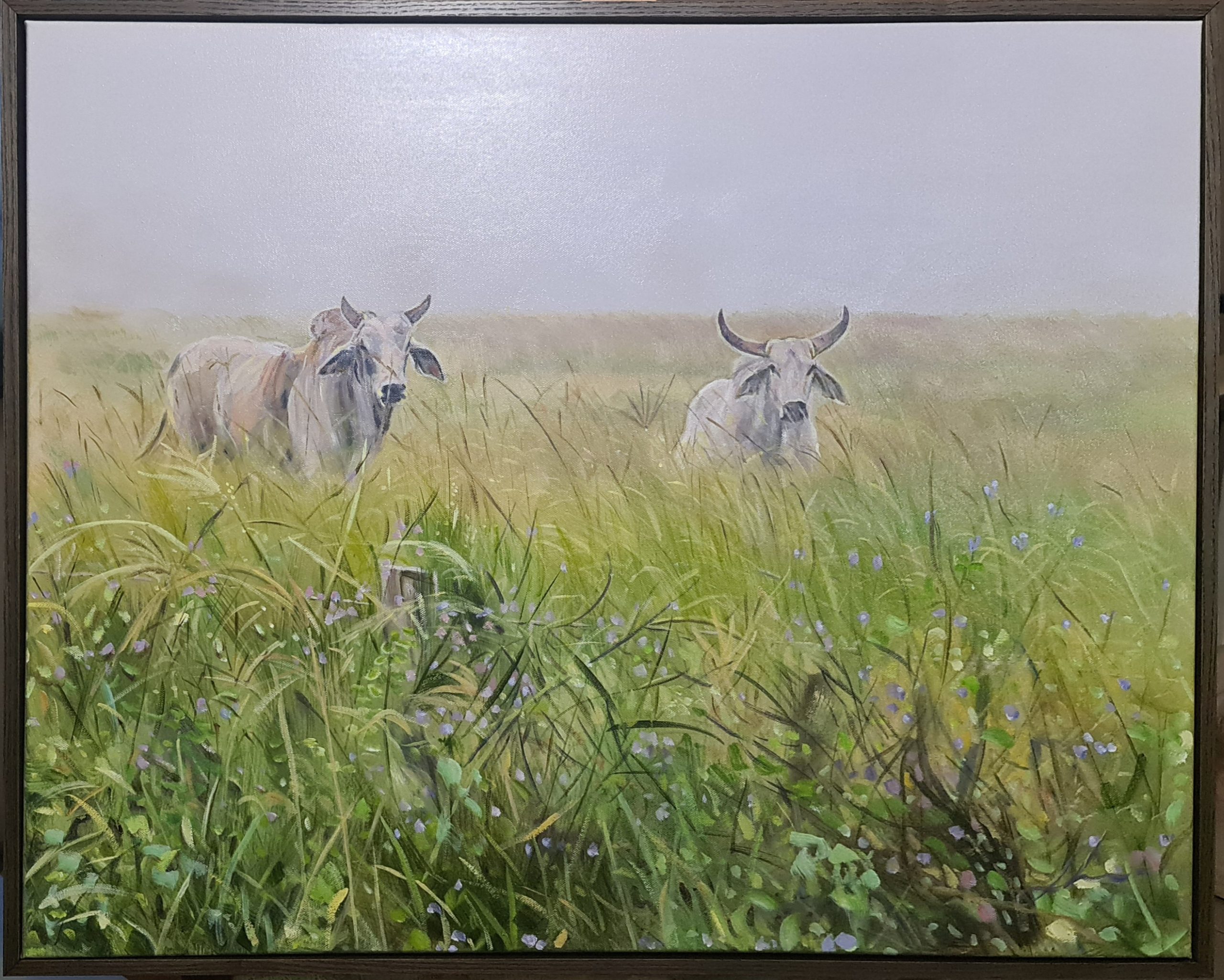 Brahmans In The Deepwater Mist Jo S Stacey Fine Art Oils Framed