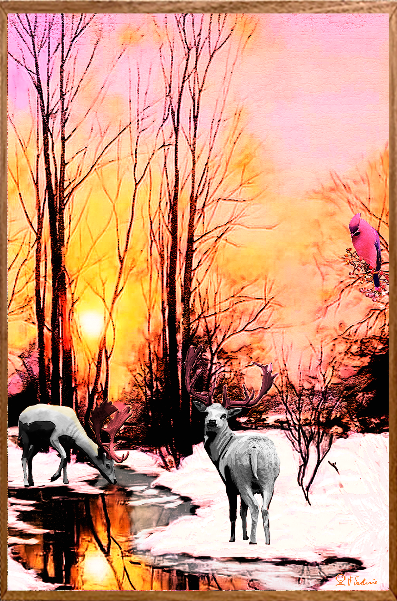 Street Urban Art Collection Number 388 The White Stags Web 2