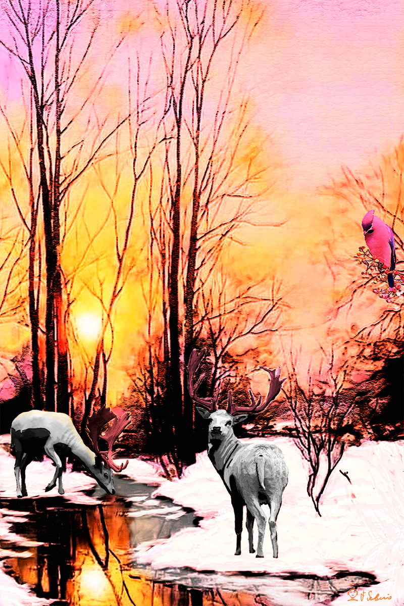 Street Urban Art Collection Number 388 The white stags