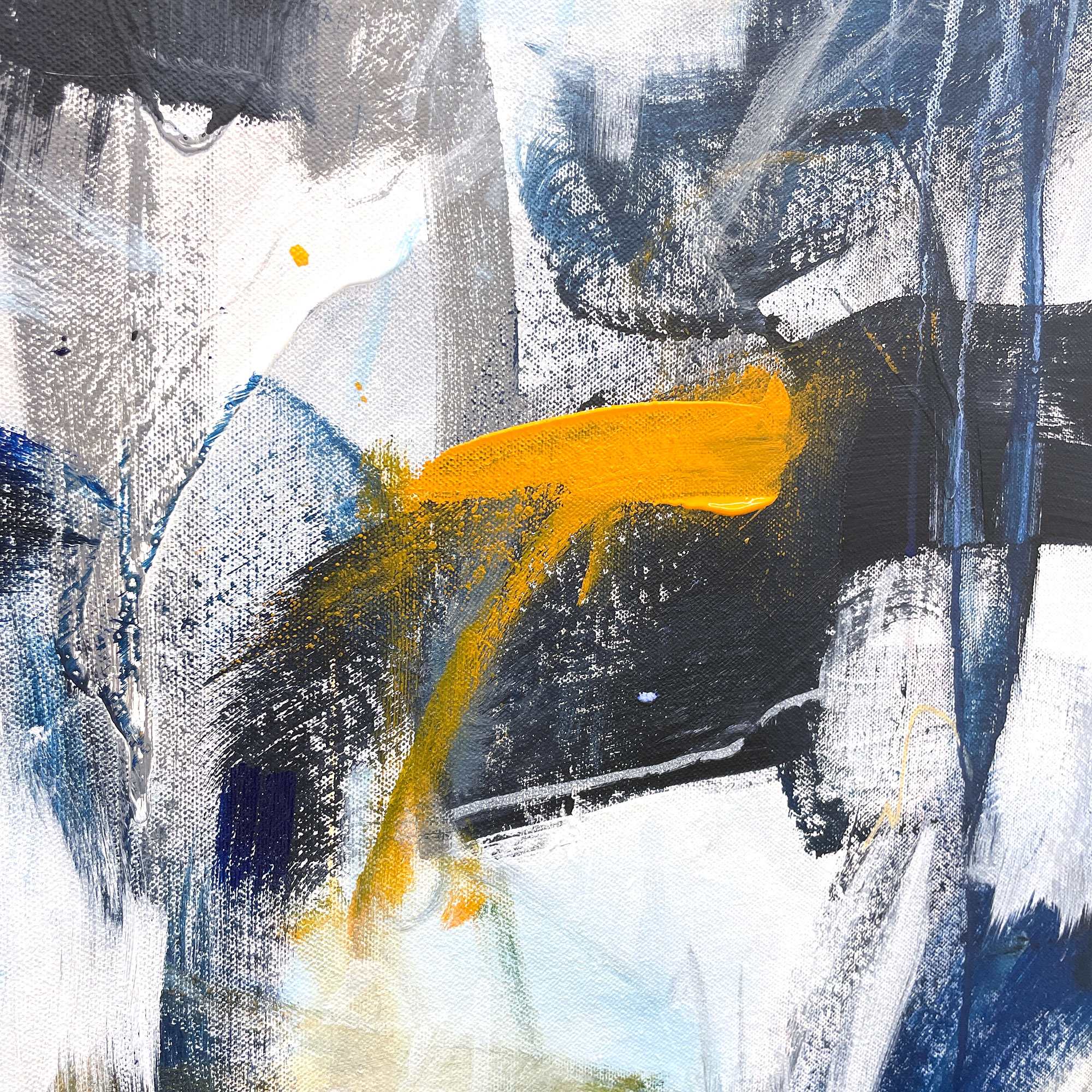 Sometimes Shy Cheryl Harrison A