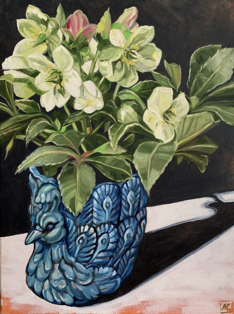 Hellebore and Peacock