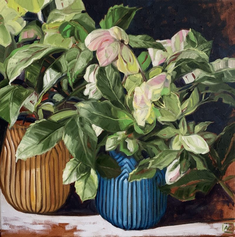 Hellebore in shadow – EXCLUSIVE TO ART LOVERS!