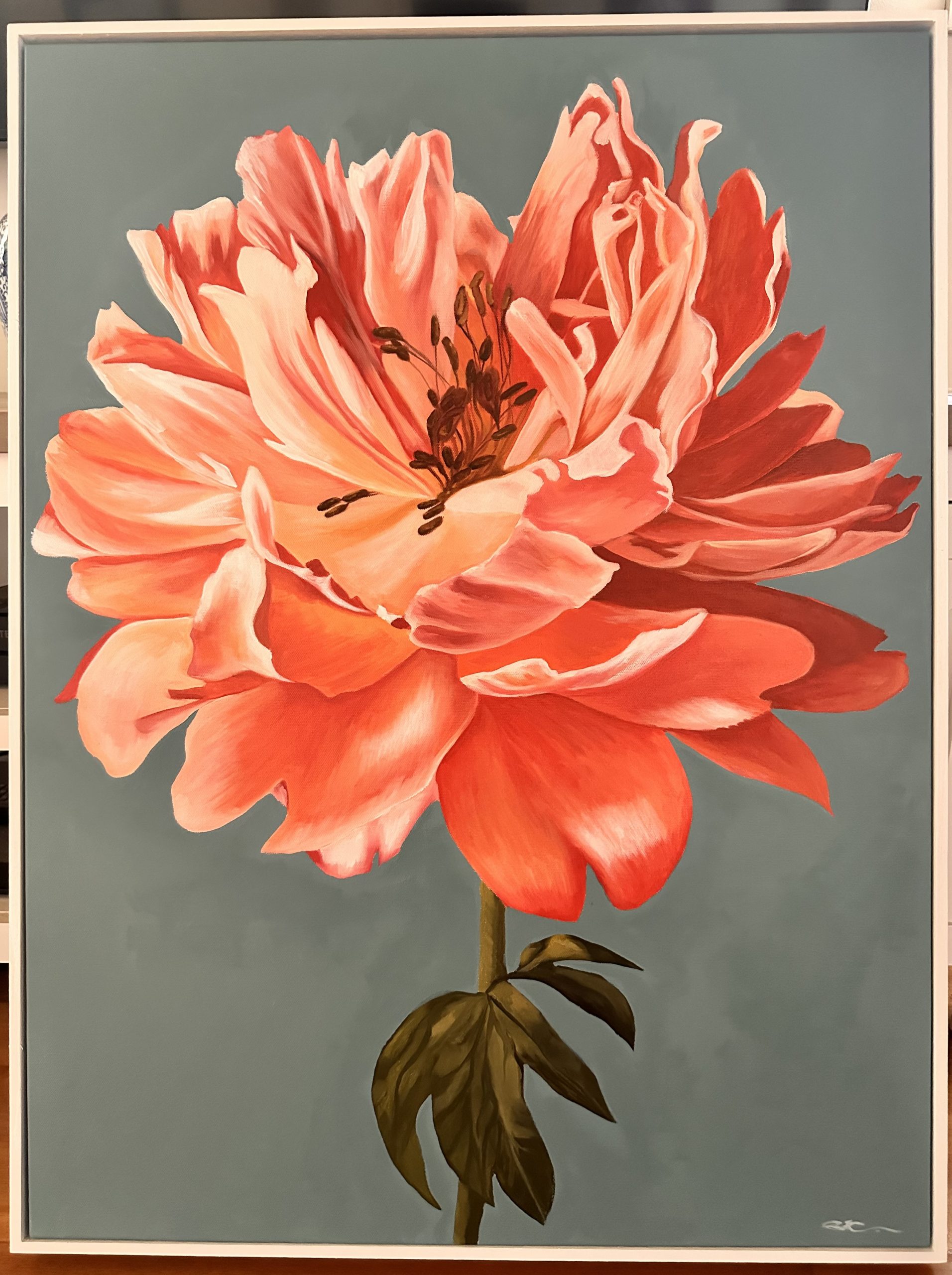 Naked Singularity Frame