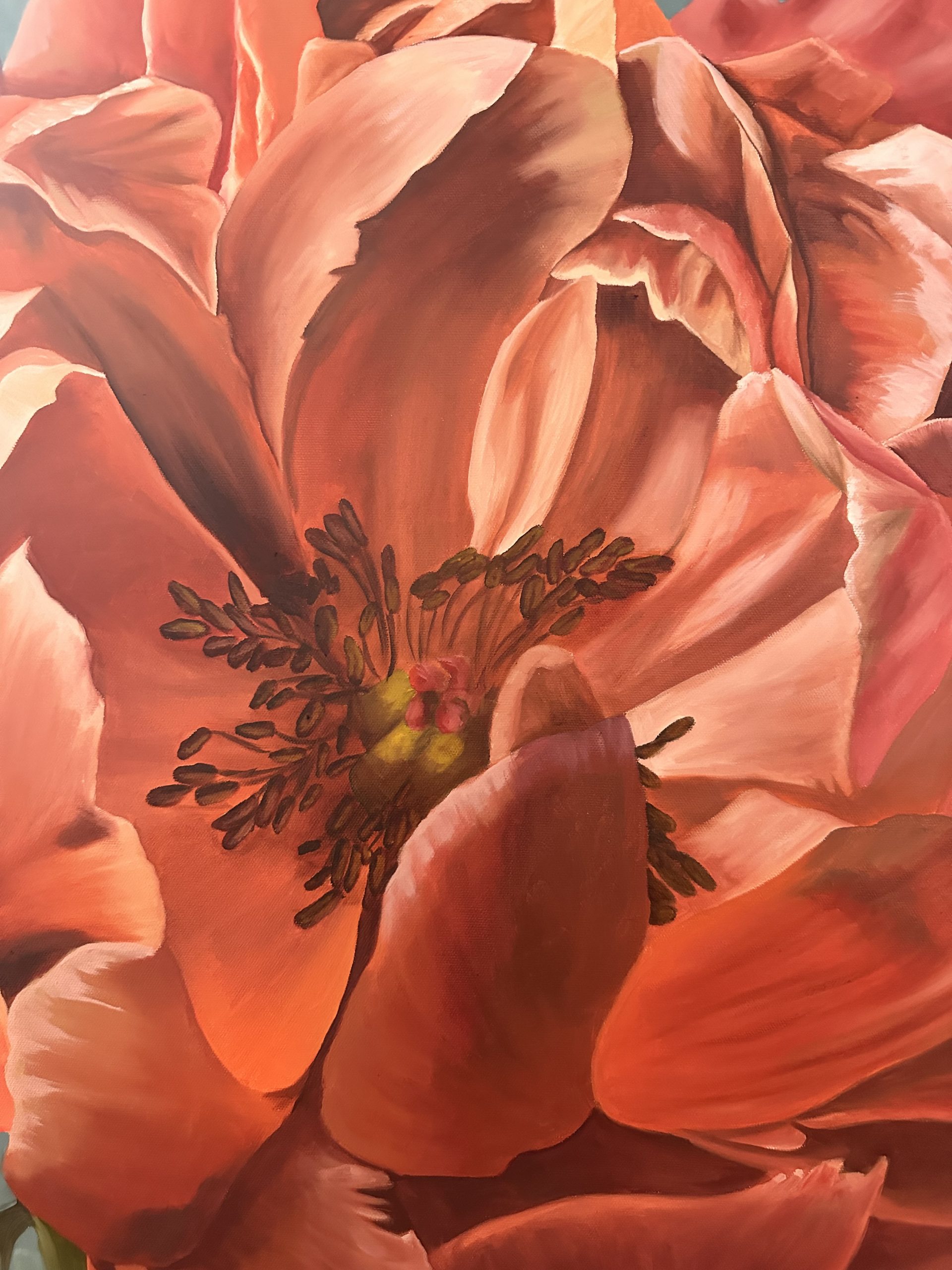 Flush Of Spring Close Up