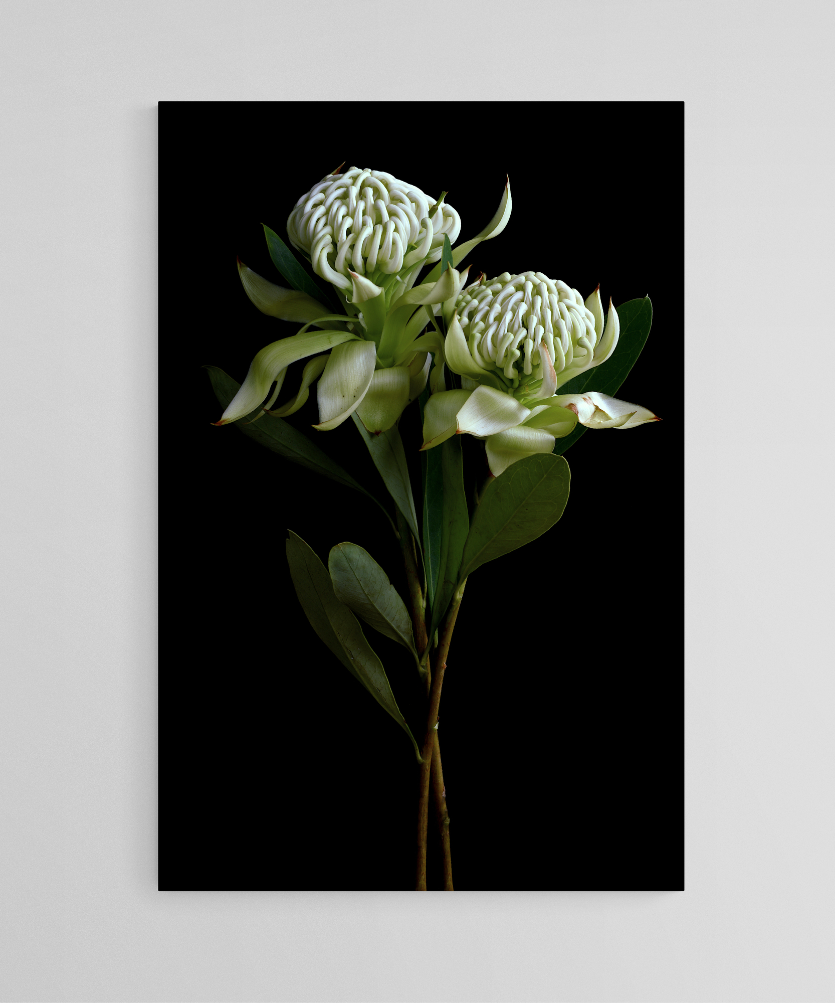 Empty Room 2024 10 20t204747.517