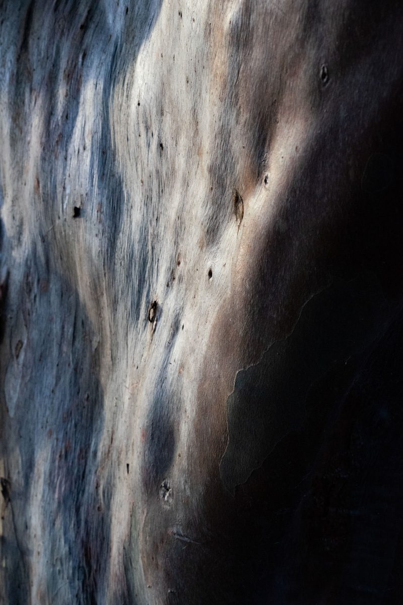 The Scream – Framed