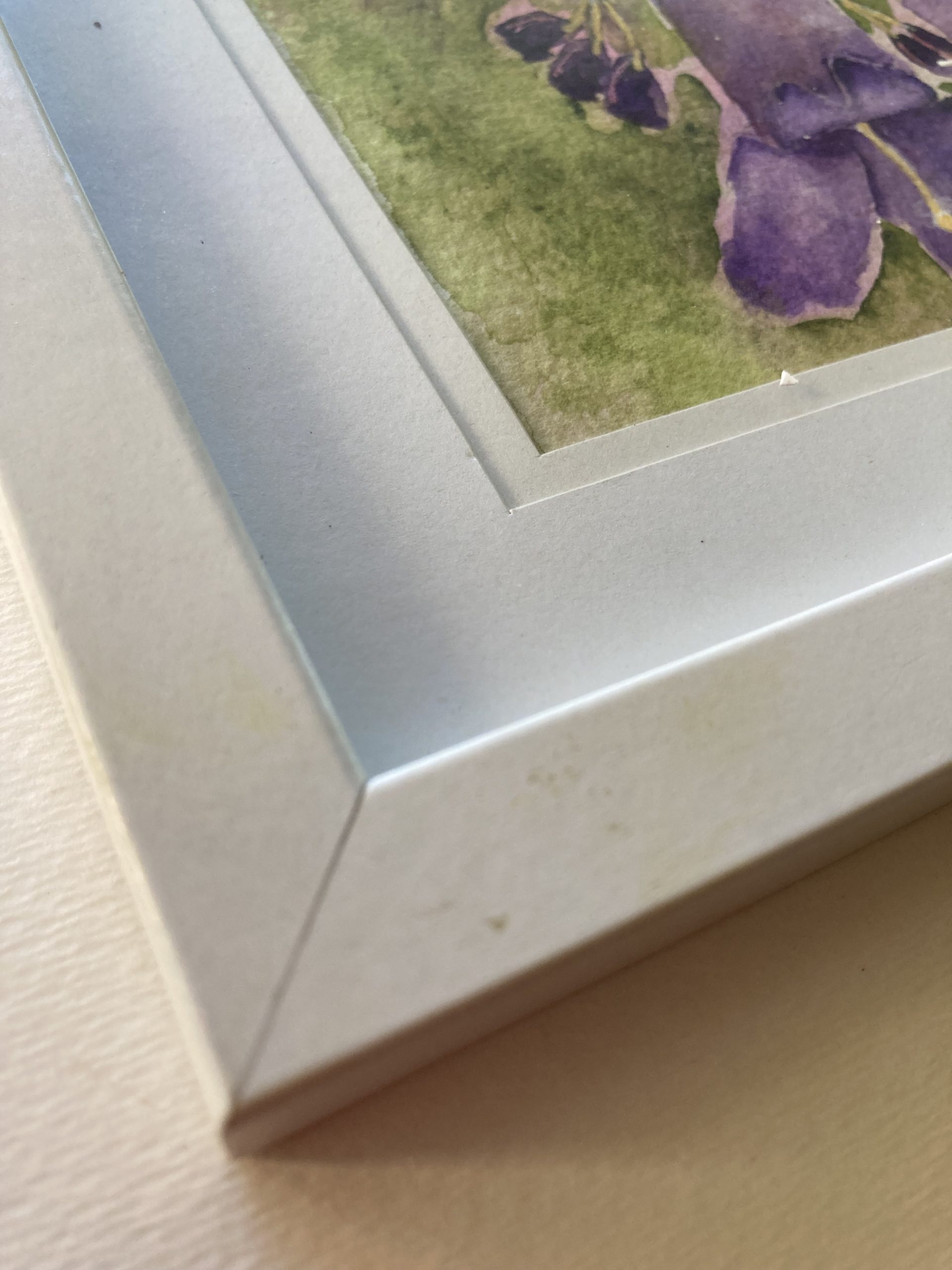 Mbj 405 Jacaranda Edge