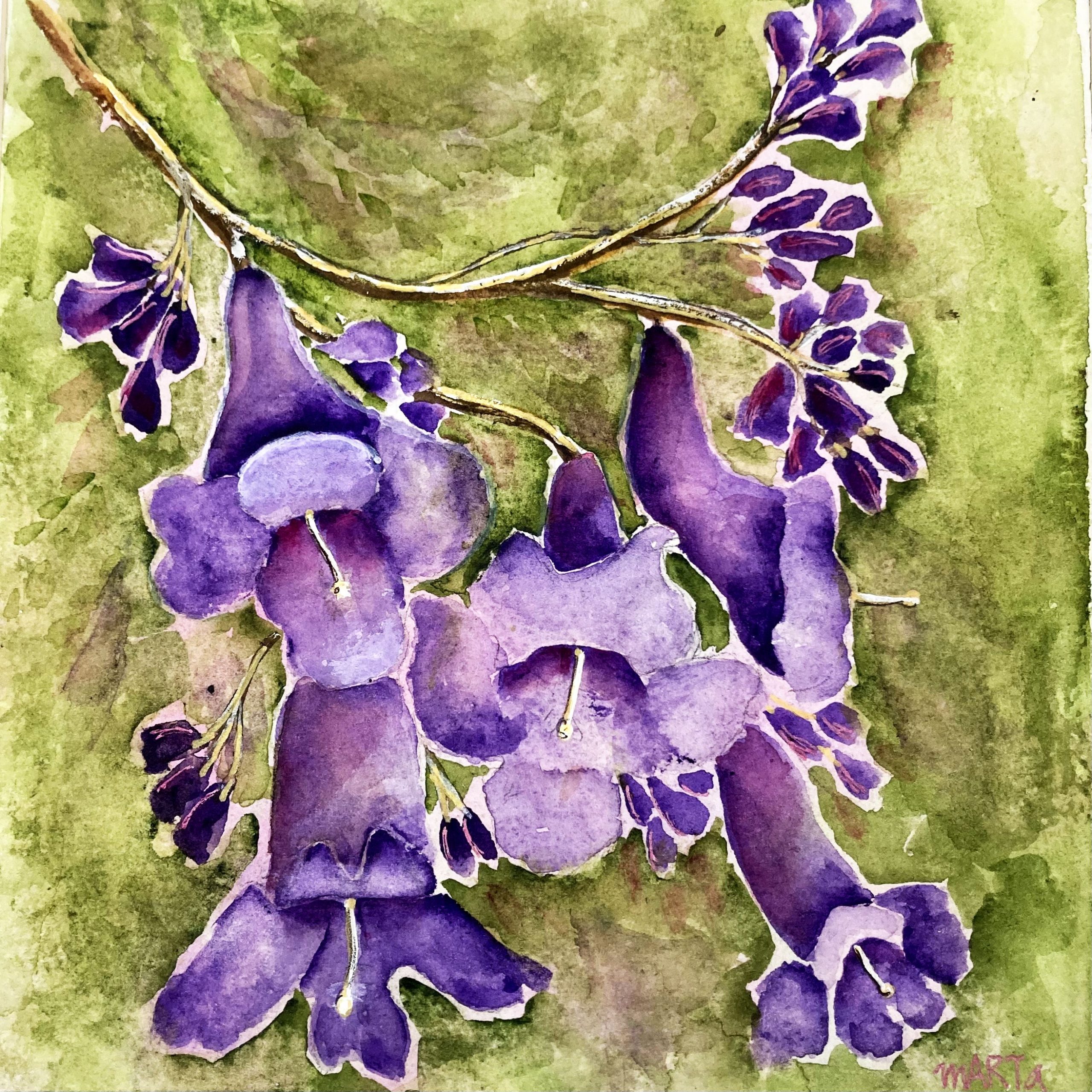 Mbj 405 Jacaranda Original