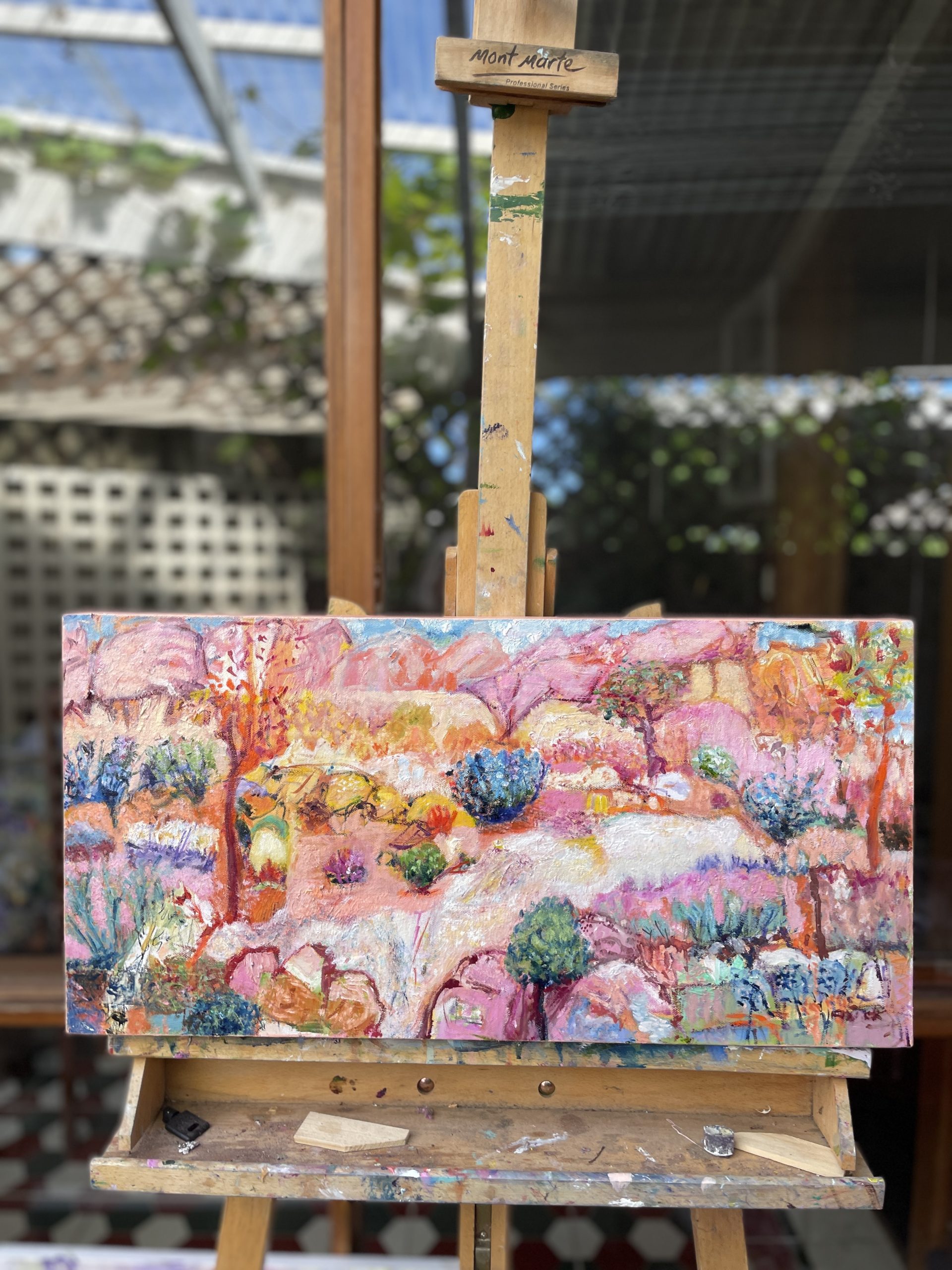 Pink Rocks And Saltbush Studio View