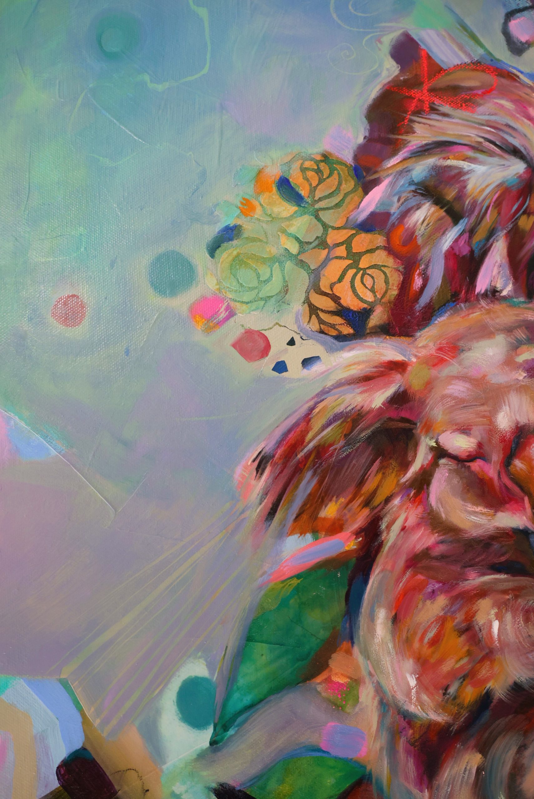 Koala Cuddle Puddle Close Up2