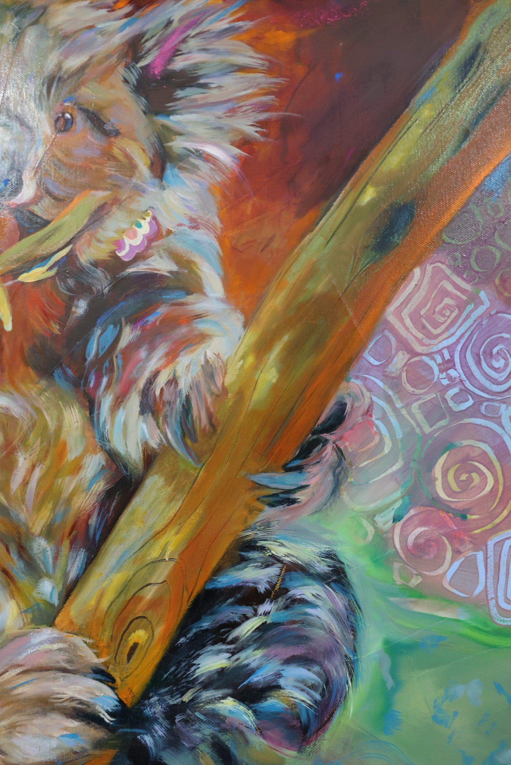 Koala Fied Snack Time Close Up1