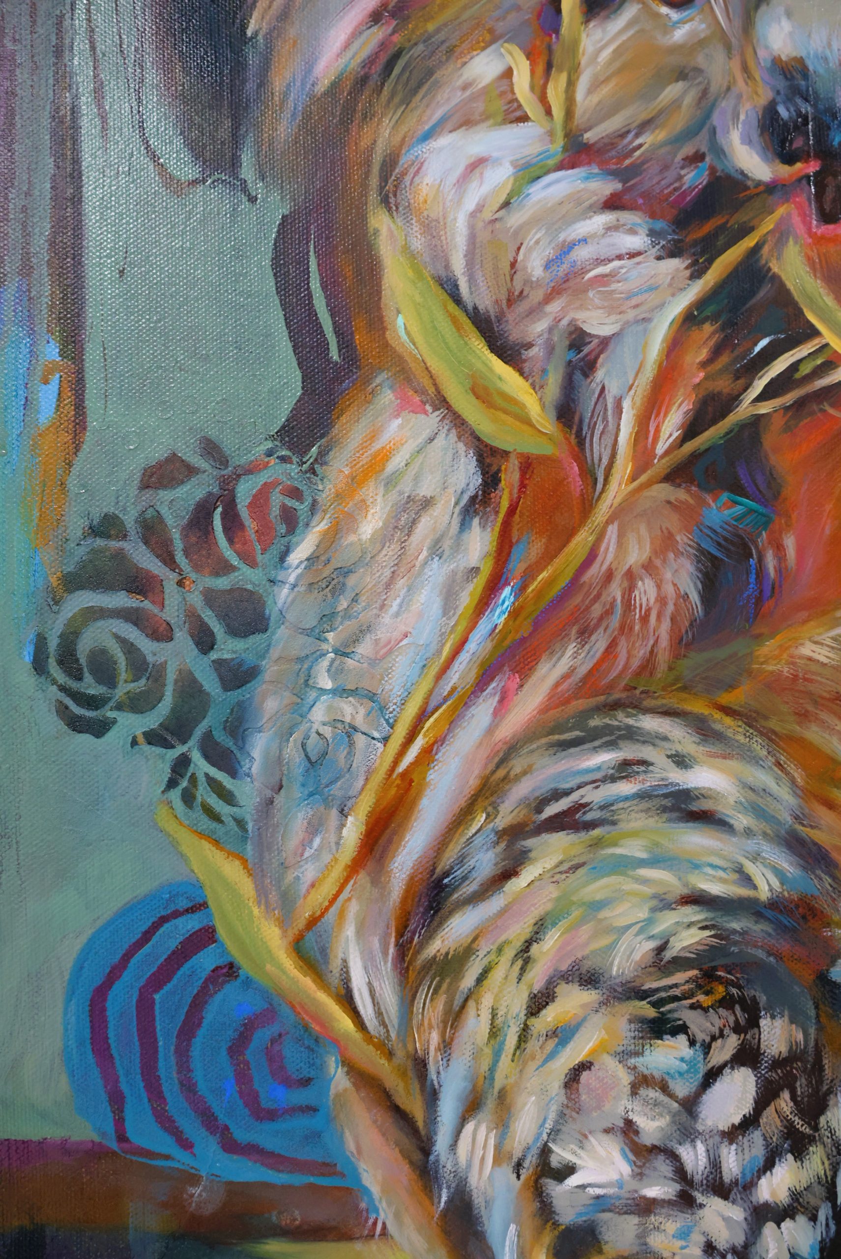 Koala Fied Snack Time Close Up3