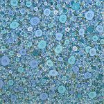 User 12432 Carol 2024 10 29 T 00 06 08 406 Z Img 3632.jpeg