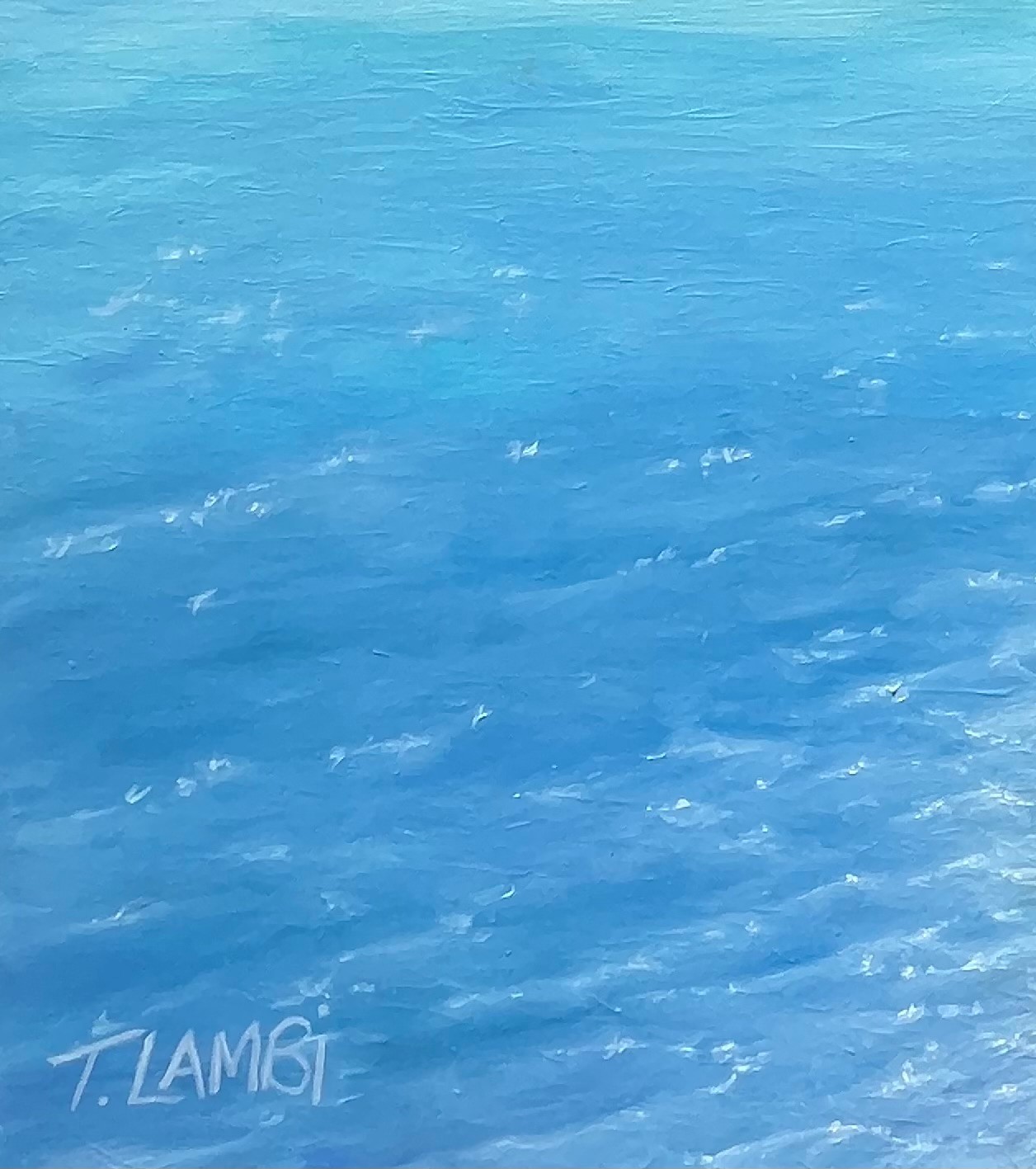 Flying Free Signature