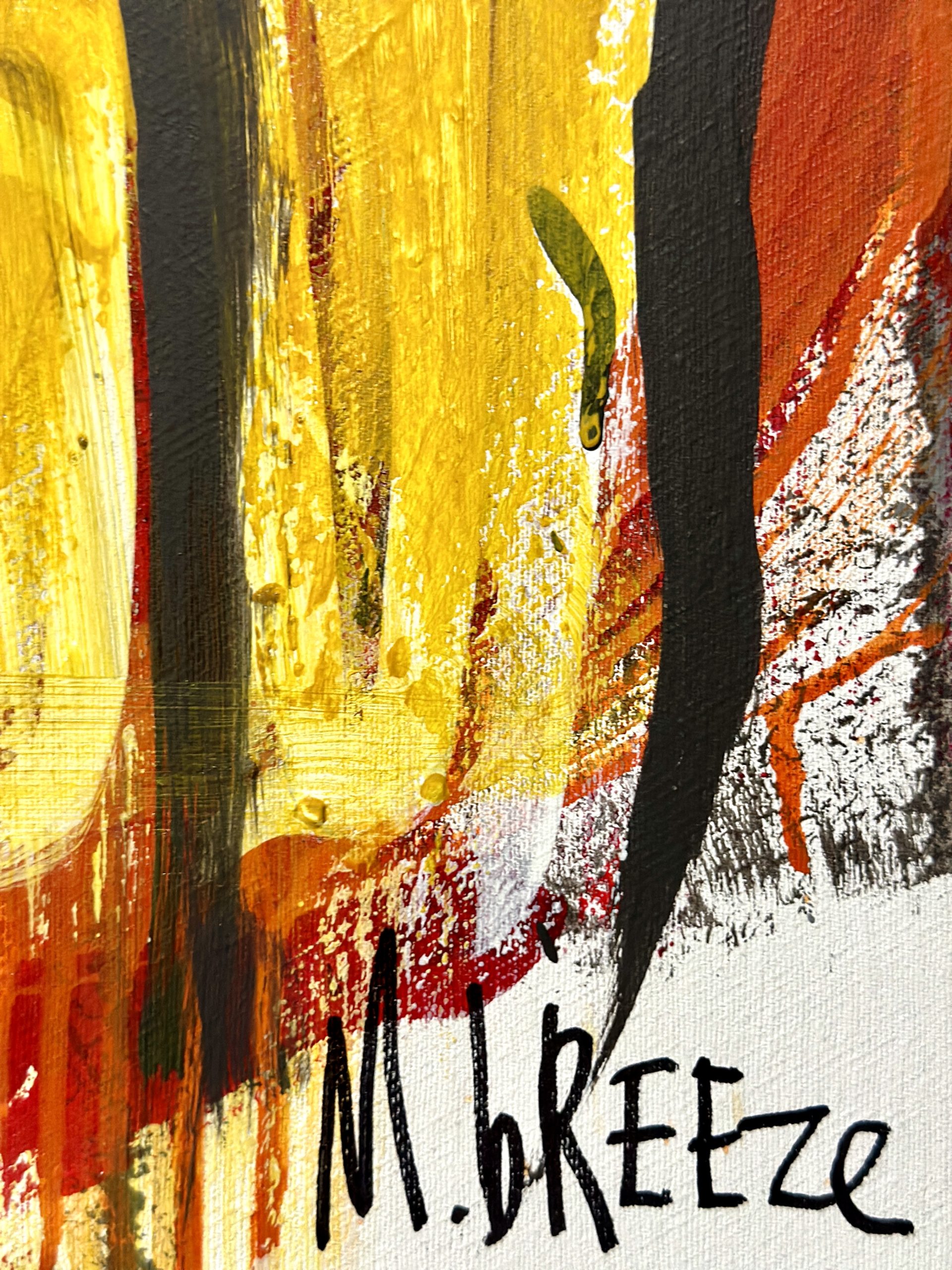 Martin Breeze Firestarter Signed