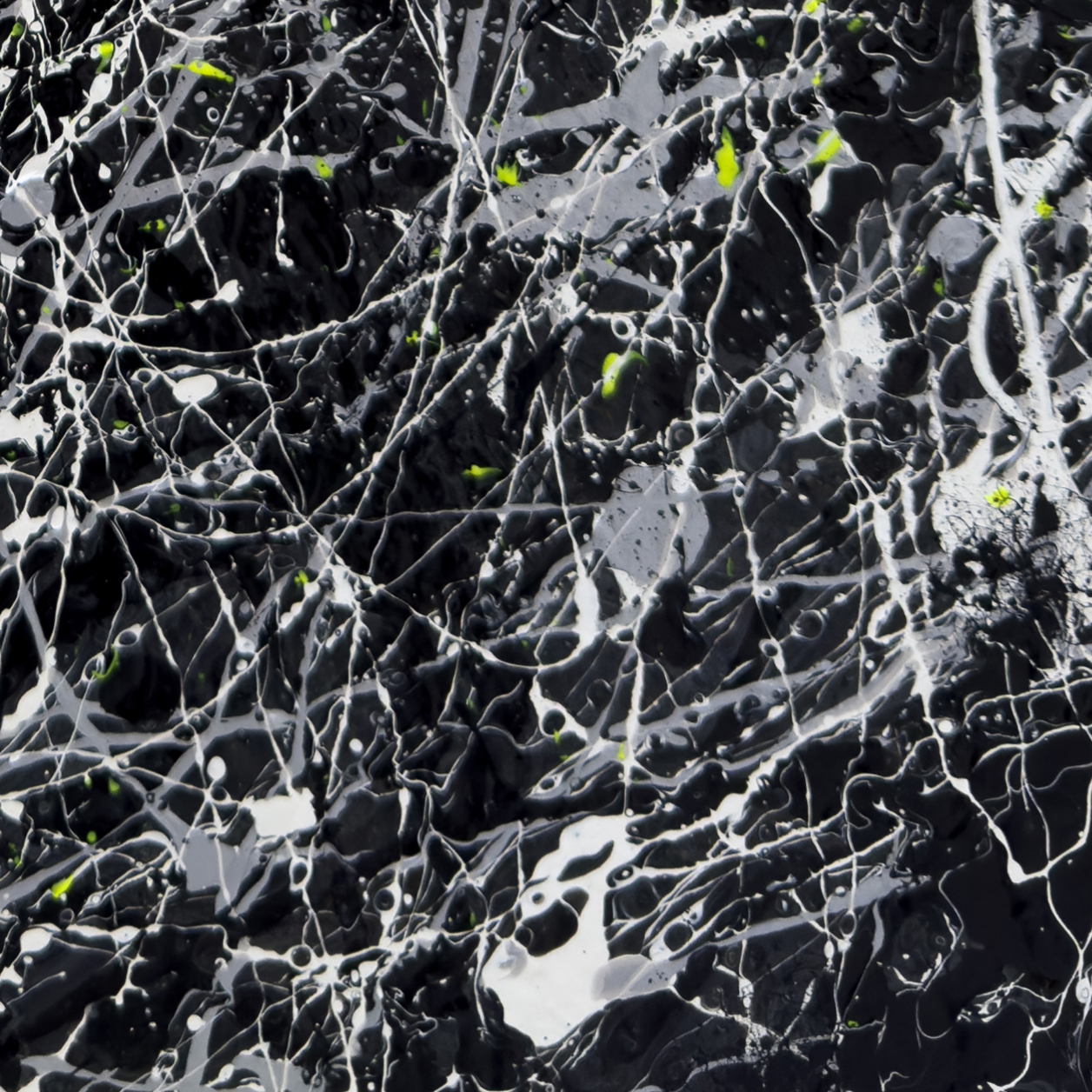 Blackhat Original Abstract Painting Closeup Patterns