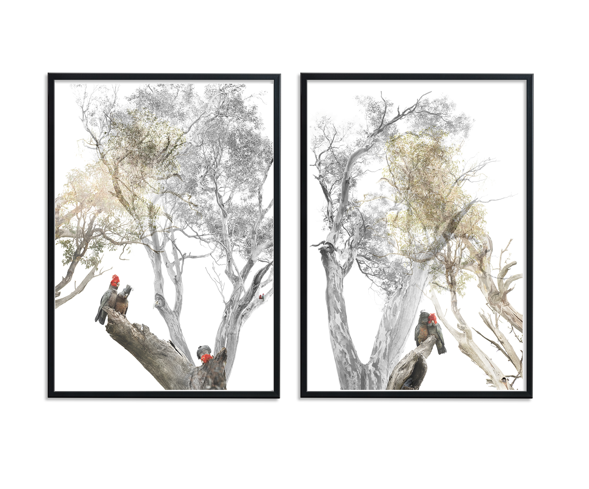 Set,of,two,a4,digital,frames,,black,thin,frame,mockup