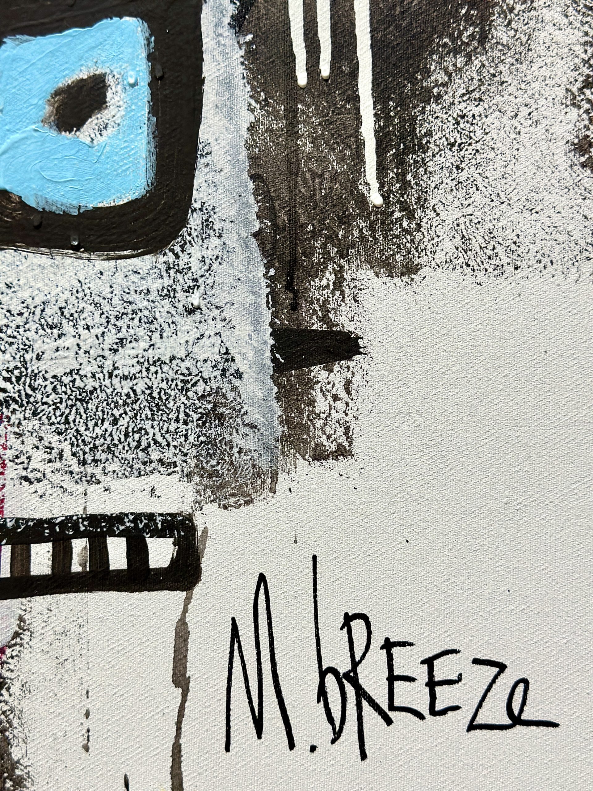 Martin Breeze Spies Like Us Signed