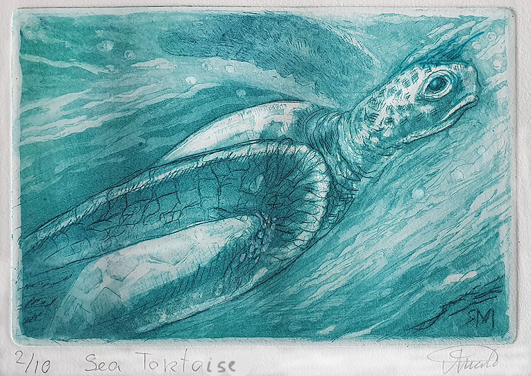 Sea Tortoise – Limited Edition Print