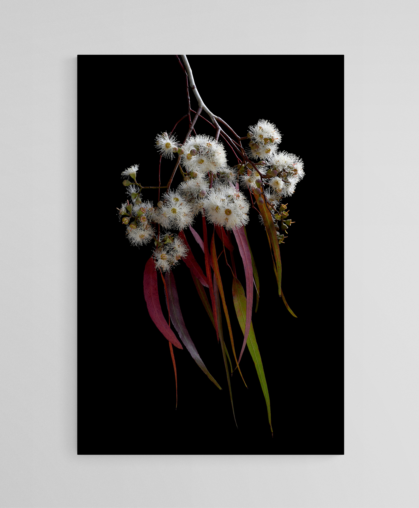 Empty Room 2024 10 30t121403.080