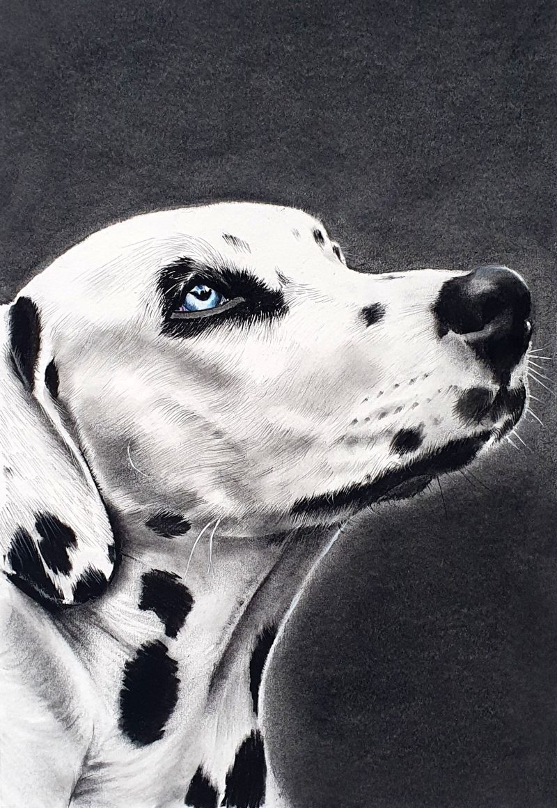 The Language of Dogs